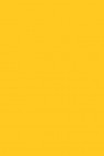 Winsor & Newton ProMarker: Sunflower