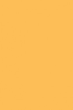 Liquitex Paint Marker Wide Tip: Cadmium Yellow Deep