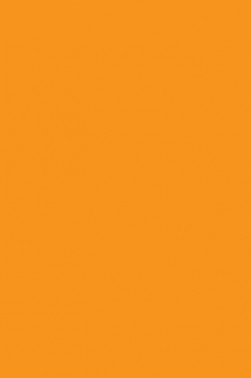 Liquitex Paint Marker Wide Tip: Fluorescent Orange