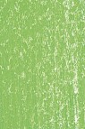 Jack Richeson Medium Soft Pastel: Green 21
