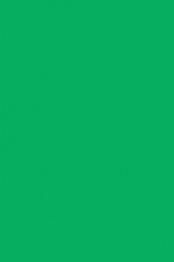 Liquitex Paint Marker Wide Tip: Light Green Permanent