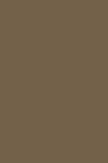 Winsor & Newton ProMarker: Umber