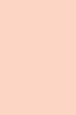 Liquitex Paint Marker Wide Tip: Light Portrait Pink