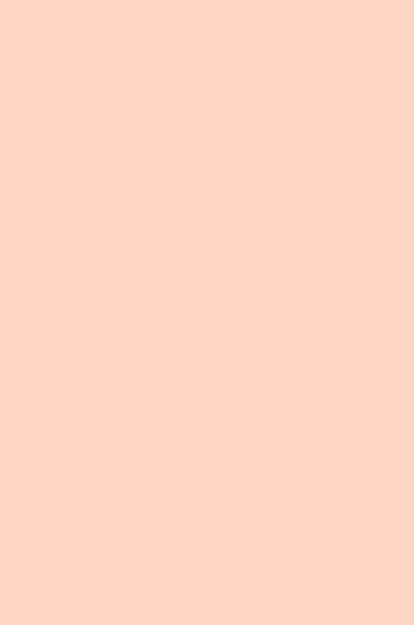Liquitex Paint Marker Wide Tip: Light Portrait Pink