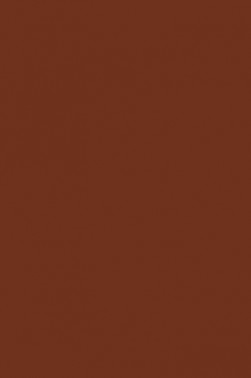 Winsor & Newton ProMarker: Walnut