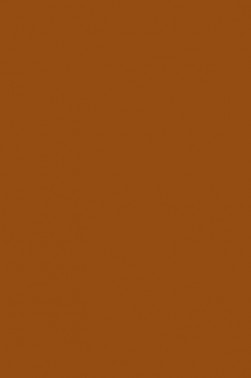Liquitex Paint Marker Wide Tip: Raw Sienna