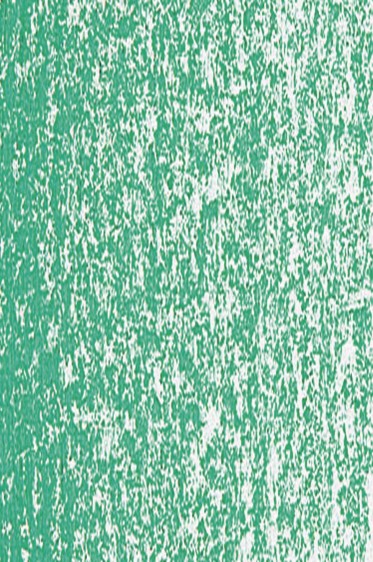 Jack Richeson Medium Soft Pastel: Green 29