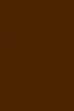 Liquitex Paint Marker Wide Tip: Raw Umber