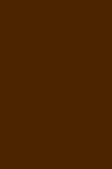 Liquitex Paint Marker Wide Tip: Raw Umber