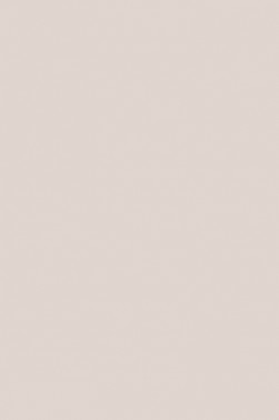 Winsor & Newton ProMarker: Warm Grey 1