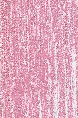 Jack Richeson Medium Soft Pastel: Red 134