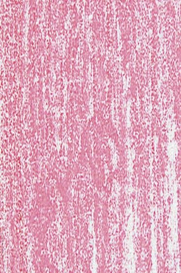 Jack Richeson Medium Soft Pastel: Red 134