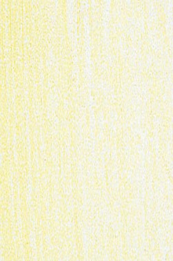 Jack Richeson Medium Soft Pastel: Yellow 105