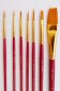 Fundamentals Brush: Classic Golden Water Color