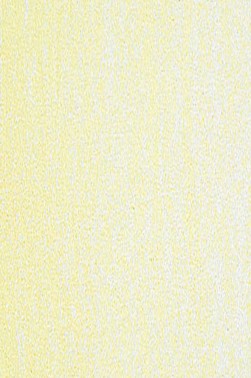Jack Richeson Medium Soft Pastel: Yellow 71