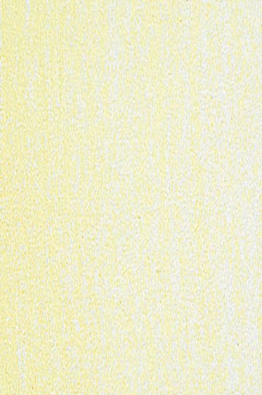 Jack Richeson Medium Soft Pastel: Yellow 71