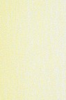 Jack Richeson Medium Soft Pastel: Yellow 71