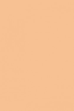 Winsor & Newton ProMarker: Oatmeal