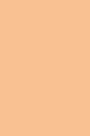 Winsor & Newton ProMarker: Oatmeal