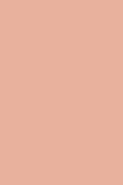 Winsor & Newton ProMarker: Tan