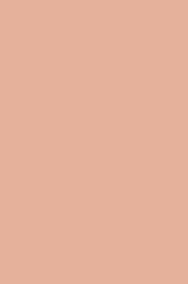 Winsor & Newton ProMarker: Tan
