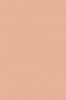 Winsor & Newton ProMarker: Tan