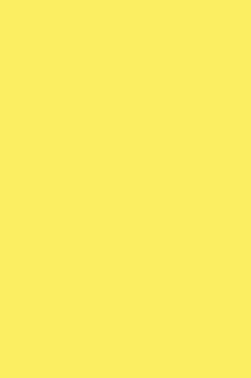 Winsor & Newton ProMarker:  Tulip Yellow