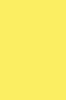 Winsor & Newton ProMarker:  Tulip Yellow