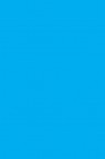 Winsor & Newton ProMarker: Cyan