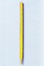 Lion City Dermatograph Pencil: Dermatograph Pencil Neon Yellow