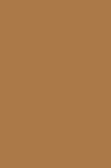 Winsor & Newton BrushMarker: Cocoa