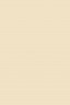 Winsor & Newton BrushMarker: Champaigne
