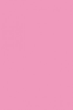 Winsor & Newton BrushMarker: Rose Pink