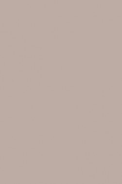 Winsor & Newton BrushMarker: Warm Grey 2