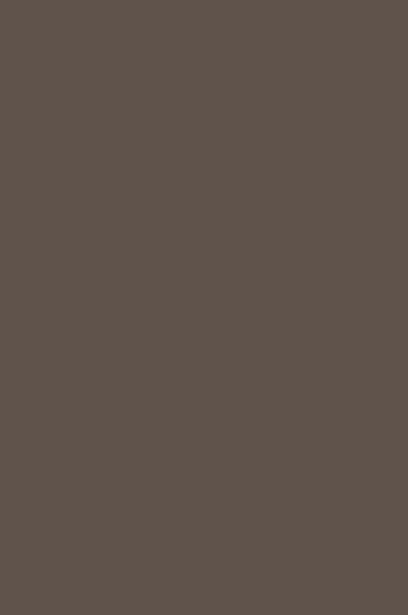 Winsor & Newton BrushMarker: Warm Grey 5