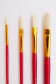 Fundamentals Brush: Bunch Of Bristle Filberts