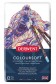 Derwent Coloursoft Colored Pencil: Coloursoft Pencil Tins of 12pcs Set